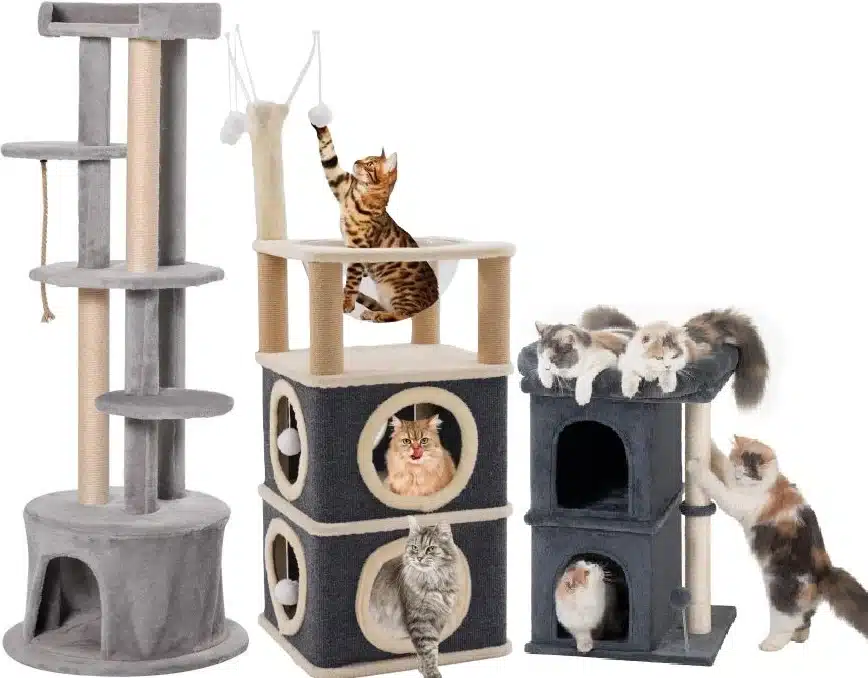 treekittens