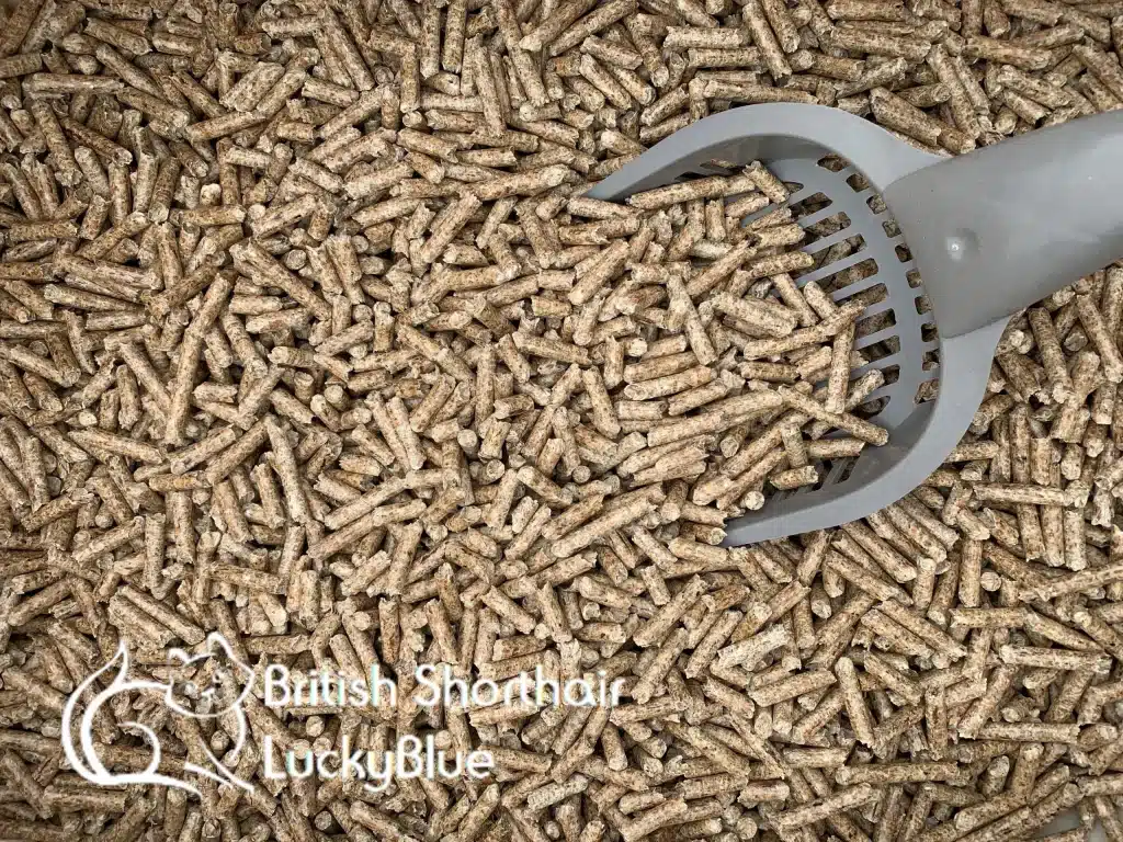 Use wood pellet for cat litter!