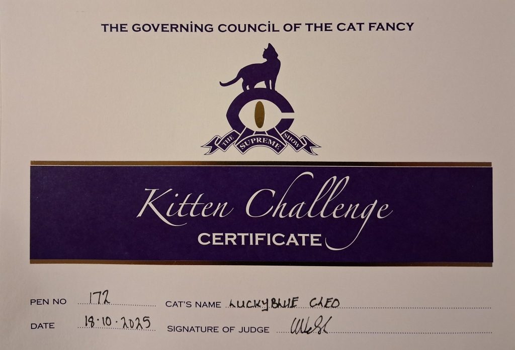 Supreme Cat Show 2025