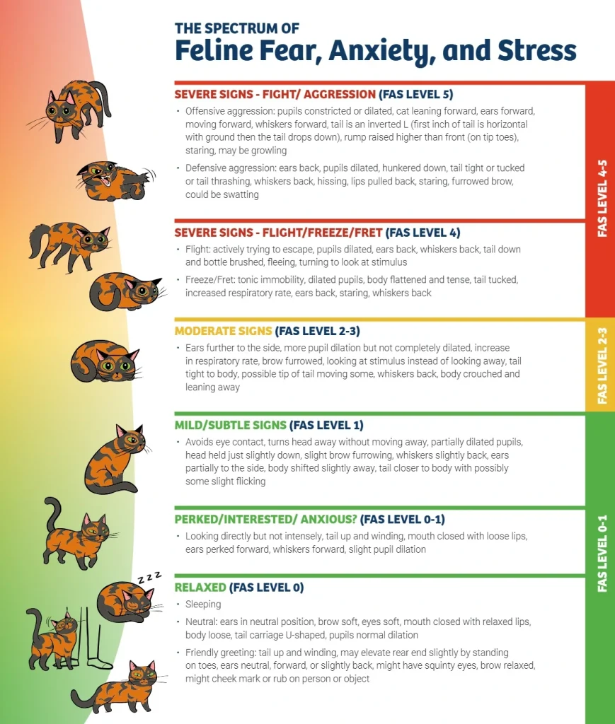FA-Spectrum-Fear-Anxiety-Stress